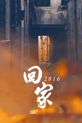《护花奇缘》电视剧高清全集