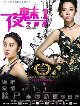 《双面太子妃》电影高清完整版