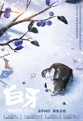 《只此江湖梦》电视剧高清全集