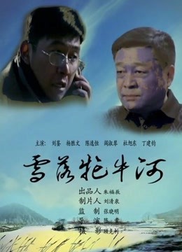 《被困在大阪的男孩》电视剧高清全集