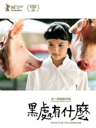 《这丫环我用不起》电视剧高清全集