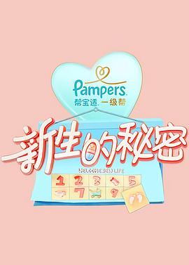 《19号消防局第六季》电视剧高清全集