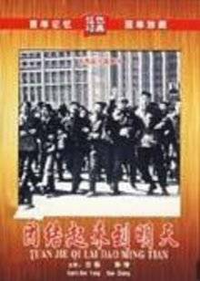 《黑雾》电视剧高清全集