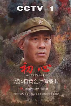 《半是蜜糖半是伤》电视剧高清全集