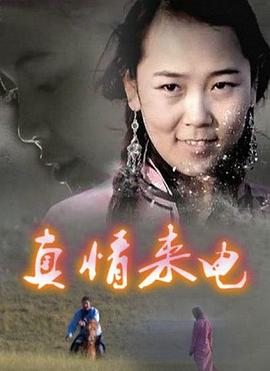 《我把社长解锁了》电视剧高清全集