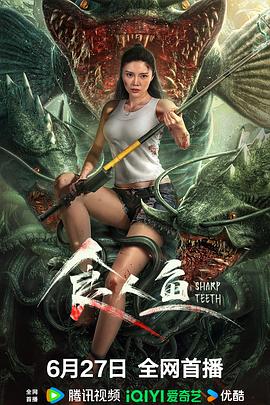 《异教徒之王》电影高清完整版