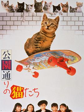 《水星领航员 The AVVENIRE》动漫高清全集