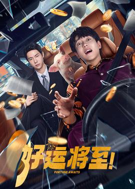 《闪电侠第八季》电视剧高清全集
