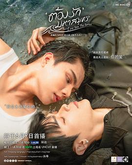 《纽约提喻法》电影高清完整版
