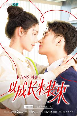 《芝加哥警署第五季》电视剧高清全集