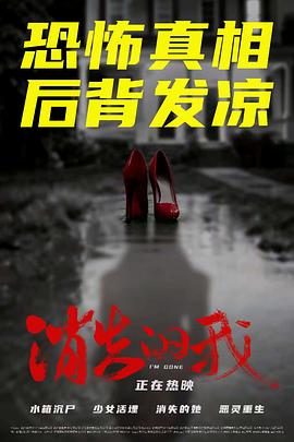 《派克式左轮》电视剧高清全集