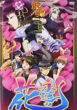 《趁咱们还年青》电视剧高清全集