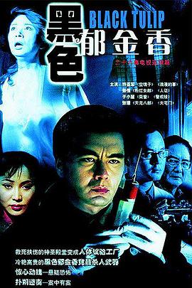 《进击的沐小姐》电视剧高清全集