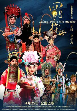 《第三人称复仇》电视剧高清全集