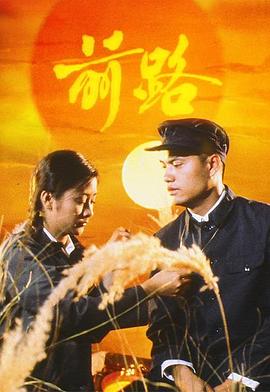 《浴火凤凰》电视剧高清全集