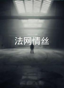 《港湾第五季》电视剧高清全集