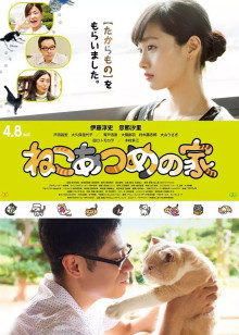 《出差十五夜2：SEVENTEEN篇》综艺高清完整版