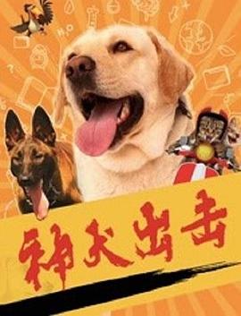 《鲵鱼》电影高清完整版