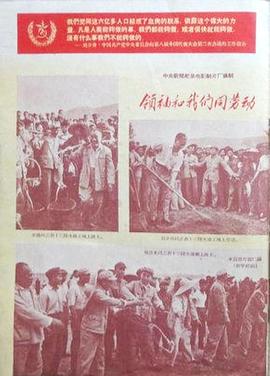《T人》电影高清完整版