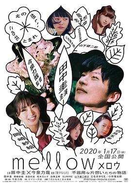 《小鸟之翼第二季》动漫高清全集