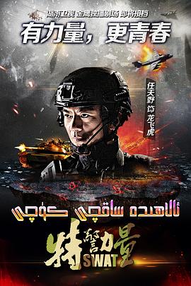 《神偷奶爸》动漫高清全集
