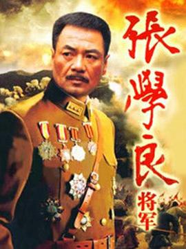 《风之刀粤语》电视剧高清全集