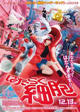《悲伤先生》电影高清完整版