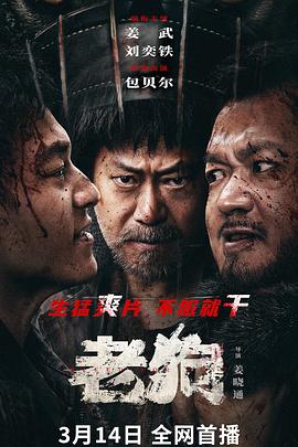 《新大头儿子和小头爸爸》电视剧高清全集