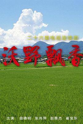 《我亲爱的秘书》电视剧高清全集