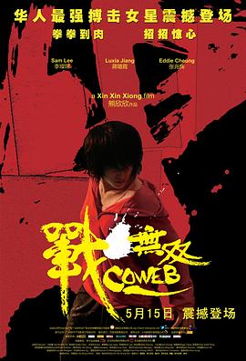 《假面骑士V3》动漫高清全集