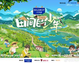 《八角笼中》电影高清完整版