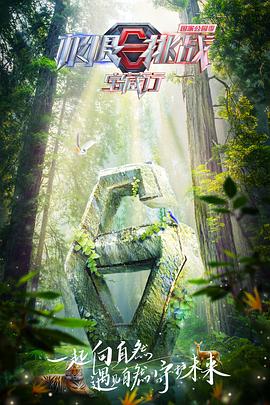 《镜中花》电视剧高清全集