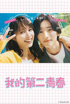 《铁探粤语》电视剧高清全集