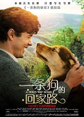 《巴斯金【影视说明】》电影高清完整版