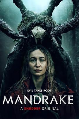 《怪盗Joker第一季》动漫高清全集