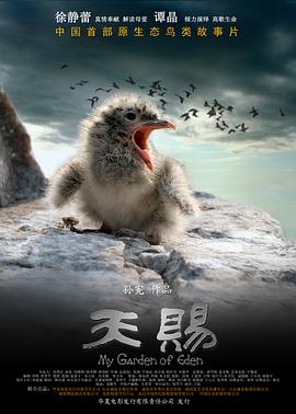 《钻石主力 OAD》动漫高清全集