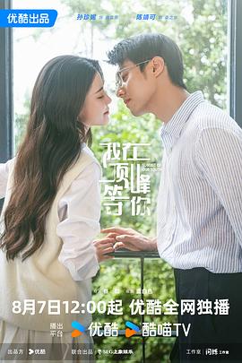 《蓝天同伴》电视剧高清全集
