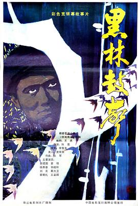 《土京盗宝记》电影高清完整版