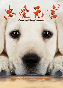 《江城故事之局中局》电影高清完整版