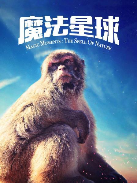 《宝石宠物 国语版》动漫高清全集