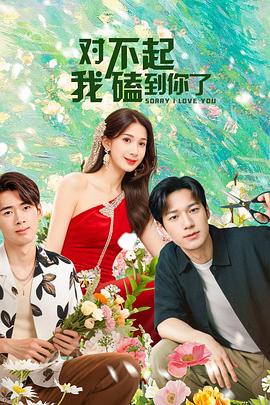 《崇高的偶像》电视剧高清全集