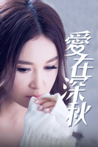 《烽火球星》电影高清完整版