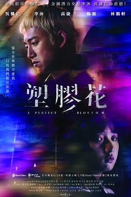 《此生情未了》电影高清完整版